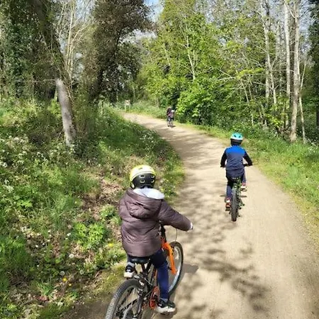 L'acacias * Longeville-sur-Mer