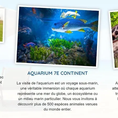 度假居 L'acacias 滨海隆热维勒