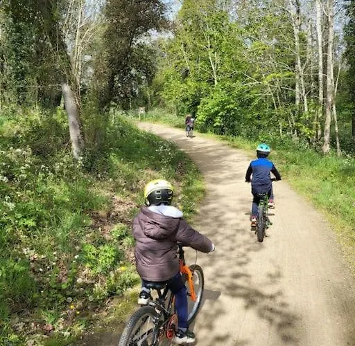 L'acacias * Longeville-sur-Mer